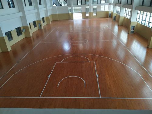 沧州篮球馆羽毛球馆专用体育运动木地板厂家